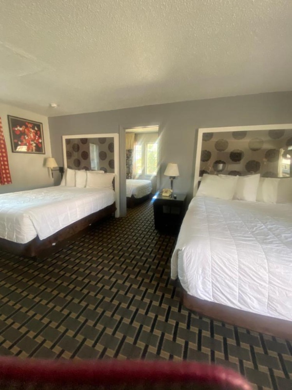 Budget INN At The Heavenly Gondola image 10